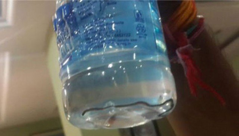 serpente - acqua in bottiglia